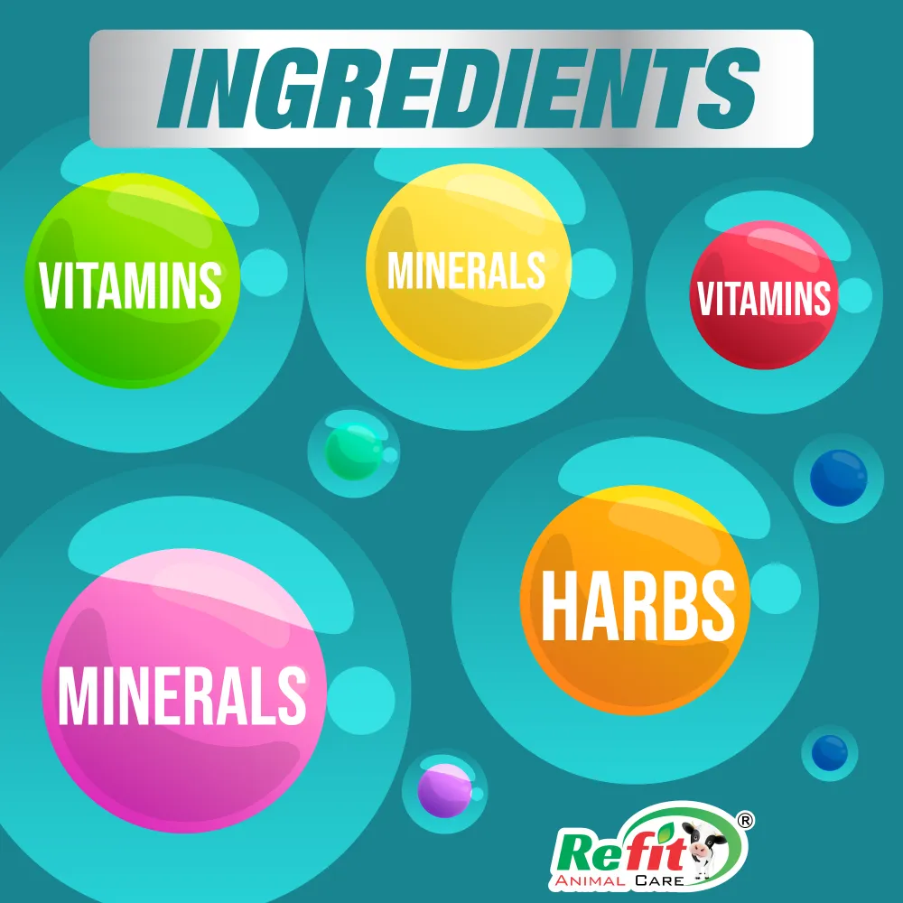 spark h ingredients.webp
