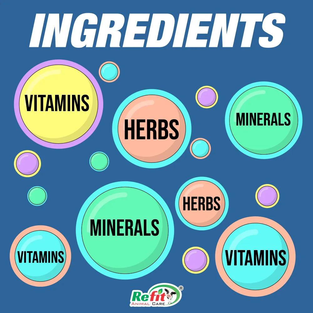 speedo ingredients.webp