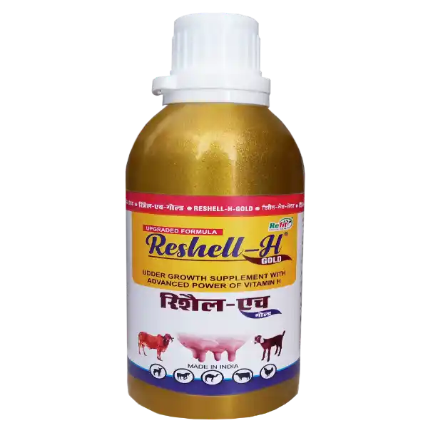 vitamin h udder growth supplement e1647254219972.webp