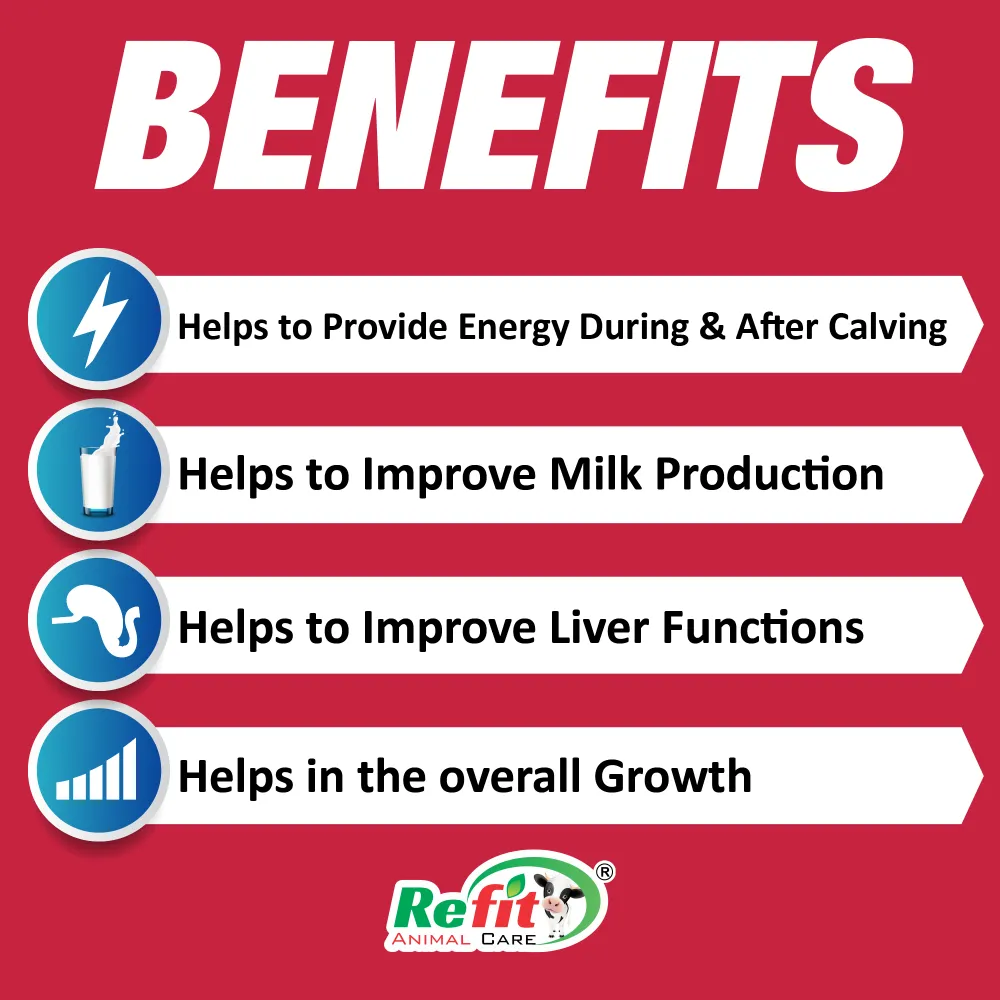 welly gel benefits.webp