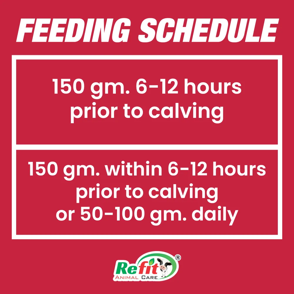 welly gel feeding.webp