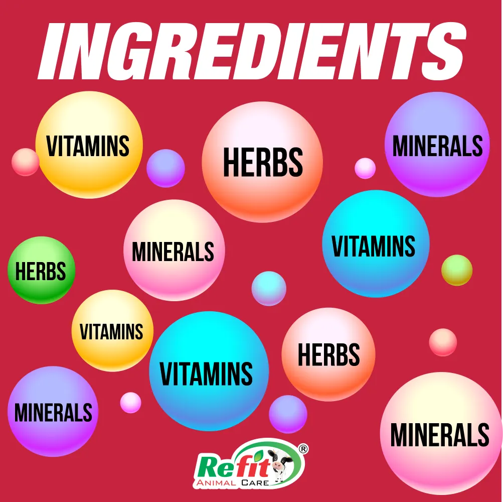 welly gel ingredients.webp