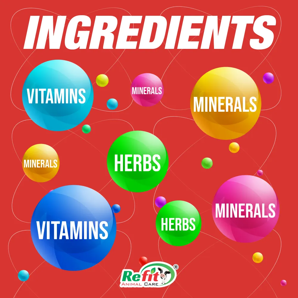 zoom h ingredients.webp