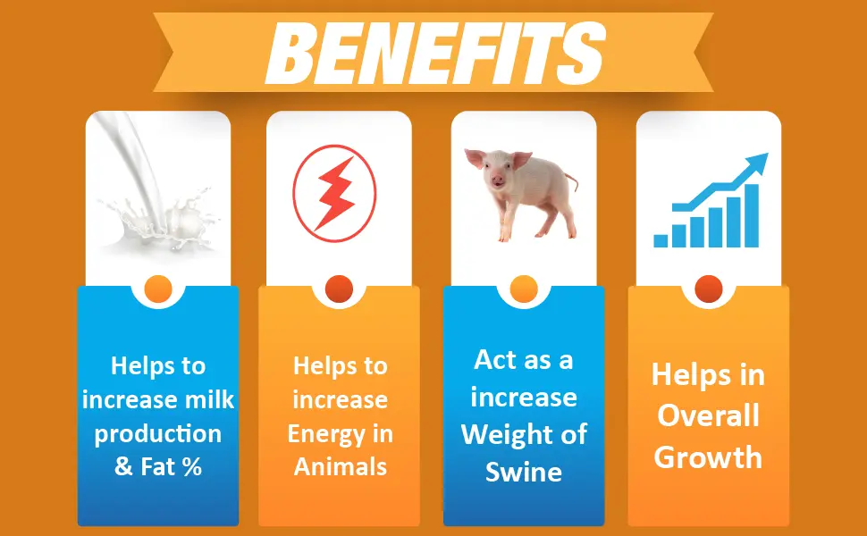 Benefits Benefits