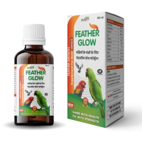 Feather Glow B.webp