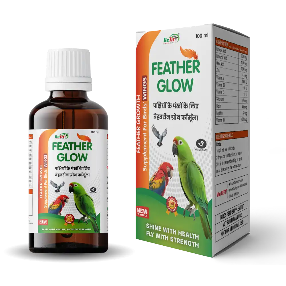 Feather Glow B.webp