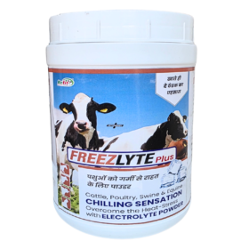 Freezlyte 1 Kg.png