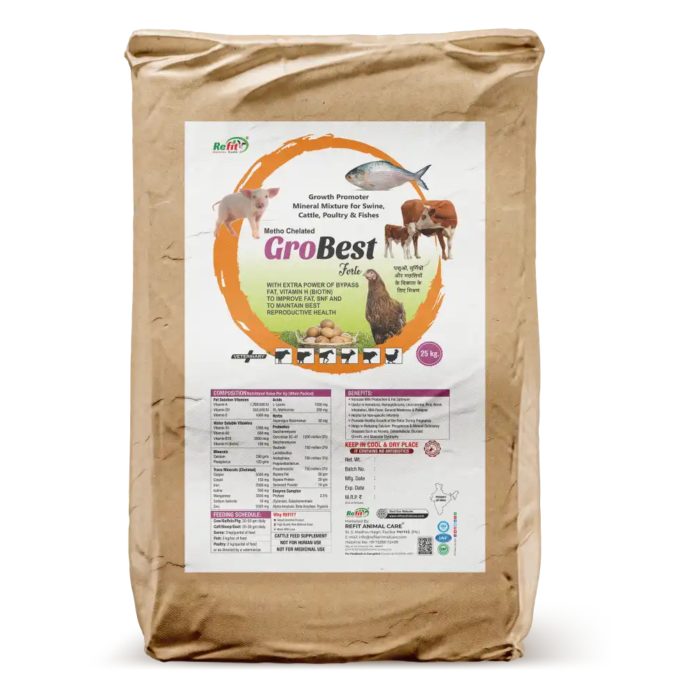 GroBest 25 Kg Bag.webp