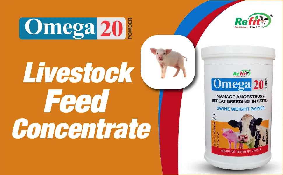 Omega 20 Omega 20