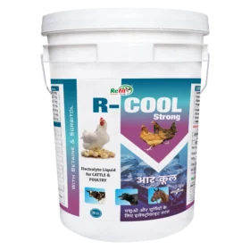R Cool 20 Ltr.webp
