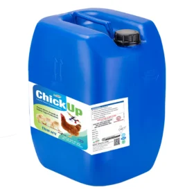 chick up 50 new.webp