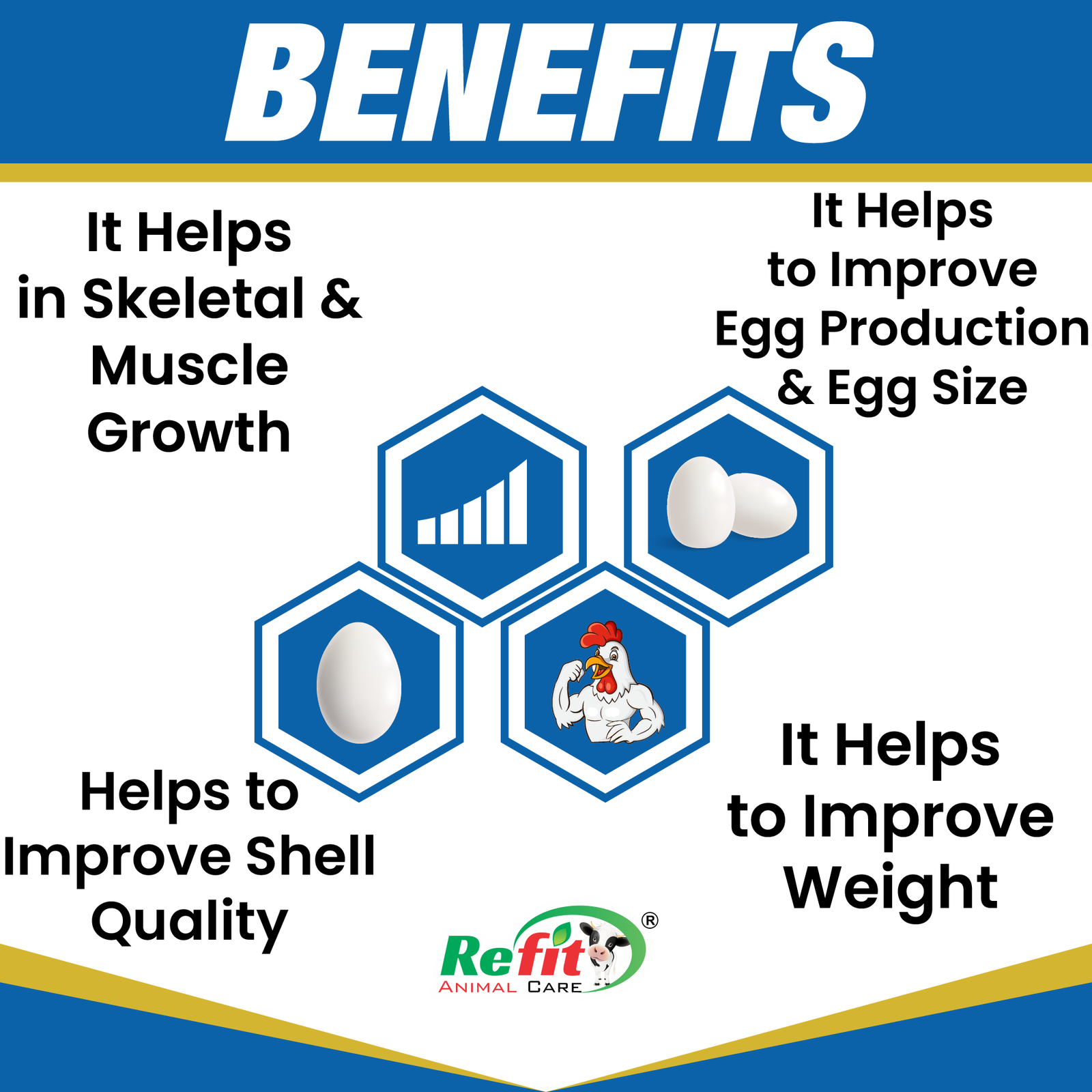egg king benefits.png