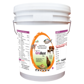 grobest 25kg