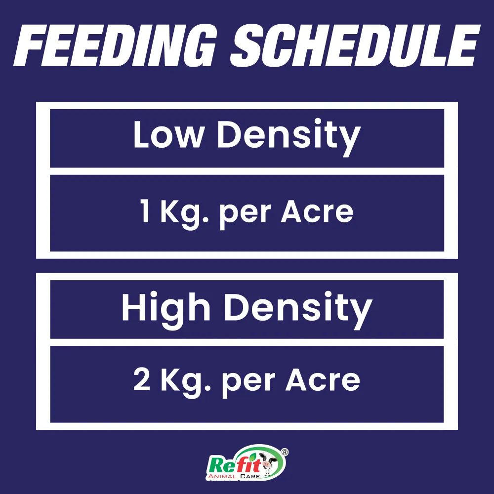 oxyforte feeding.webp