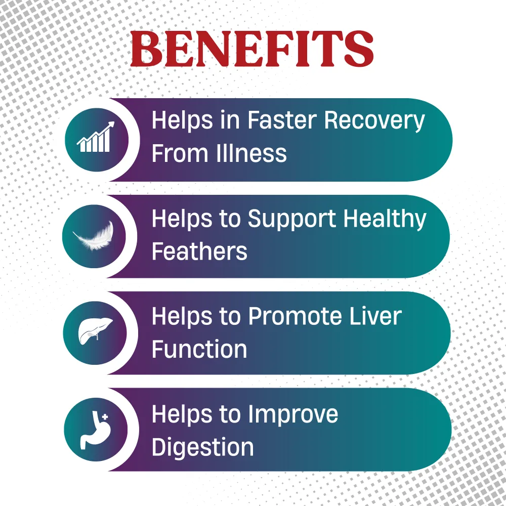 pigeonliv benefits.webp