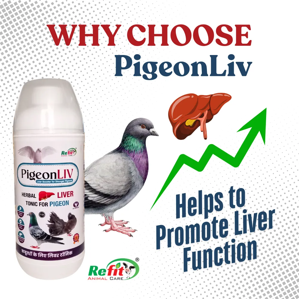 pigeonliv whychoose.webp