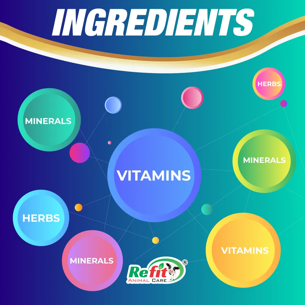 rigmin aqua ingredients.webp