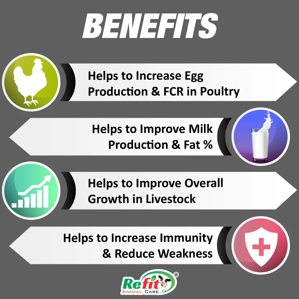 se care benefits.webp