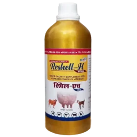 vitamin h for cow udder e1647254187291.webp