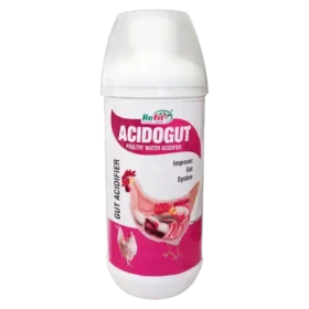 water acidifier for chickens 1536x1536 1 e1726035398980.webp
