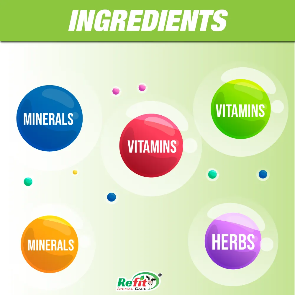 zymovet ingredients.webp